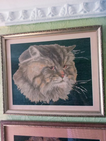 Работа «Котик»