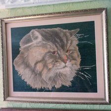 Работа «Котик»