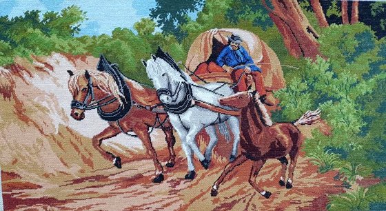 Работа «Goana cailor»