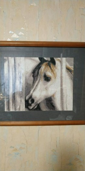 Работа «№84634»