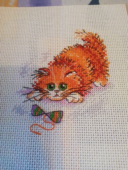 Работа «рыжий кот»