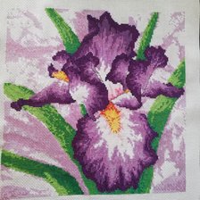 Работа «№84768»