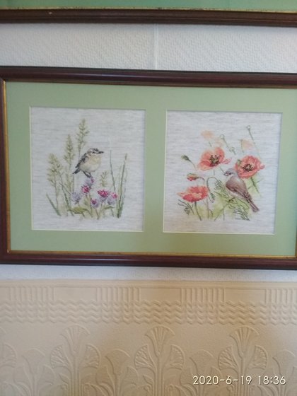 Работа «Луговой чекан и Ремез»