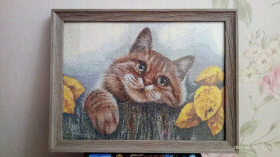 Работа «Осенний кот»