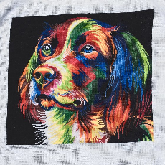 Работа «Радужный пёс»