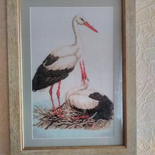 Работа «№84823»