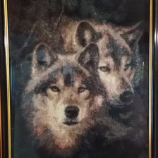 Работа «Волки»