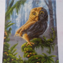 Работа «В тени загадочного леса»