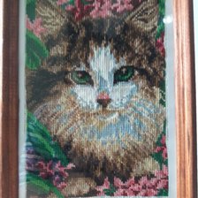 Работа «№85007»