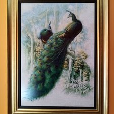 Работа «pawie zimowe»