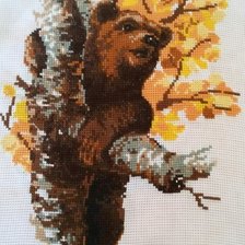 Работа «РИОЛИС»