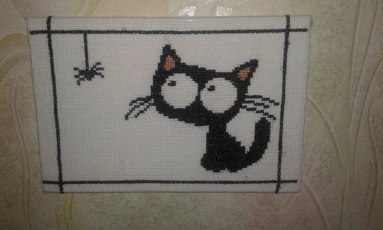 Работа «Котик»