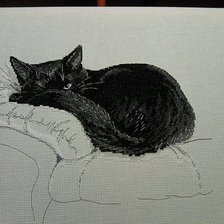 Работа «Среди чёрных котов»