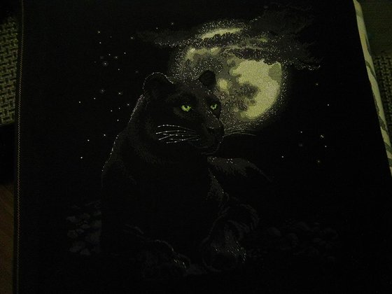 Работа «Полнолуние»