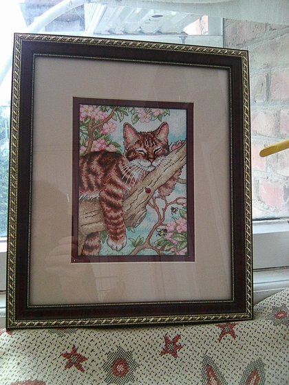 Работа «Котёнок на дереве (новое оформление)»