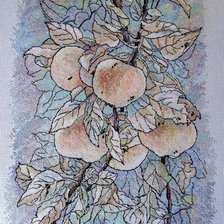 Работа «яблоки»