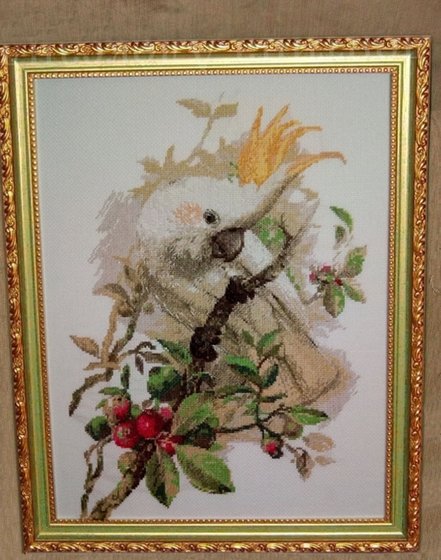 Работа «Белый какаду»