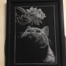 Работа «№85295»