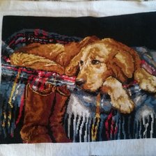 Работа «Собака на пледе»