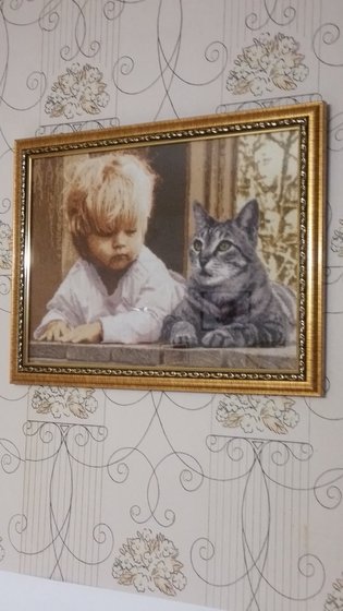 Работа «"Усатый нянь"»