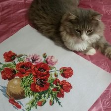 Работа «"Маки"»