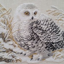 Работа «"Полярная сова"»