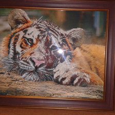 Работа «№85462»