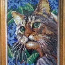 Работа «кот»