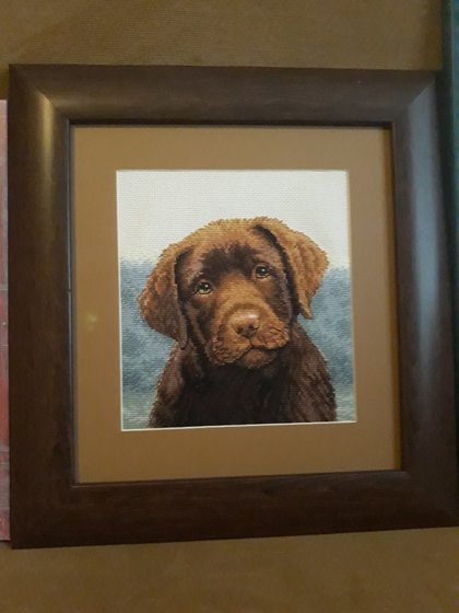 Работа «Щенок лабрадора»