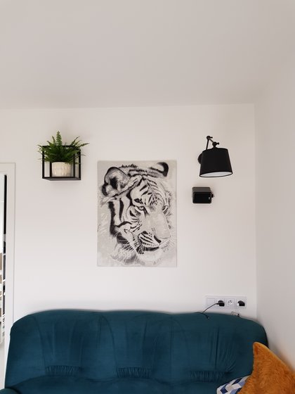 Работа «Tygrys»