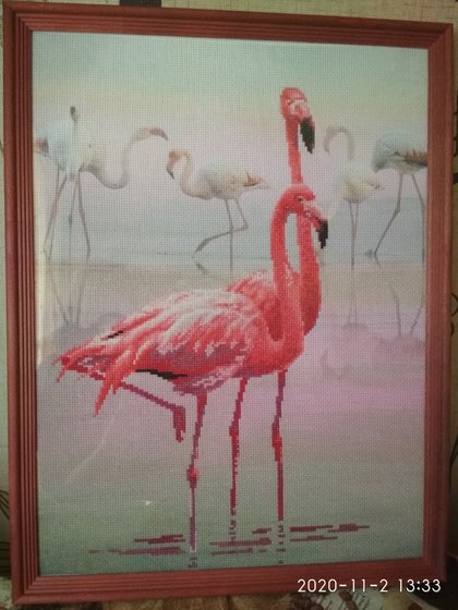 Работа «Фламинго»