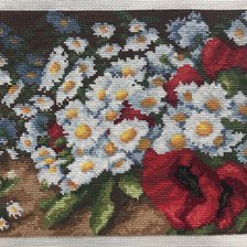 Работа «Ромашки и маки»