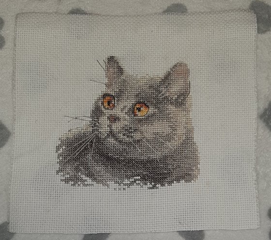 Работа «Фирма Алиса "Британский кот"»