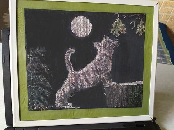 Работа «Луна и Макс»