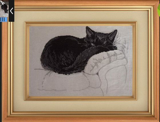 Работа «Котейка»