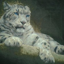 Работа «Снежный барс»