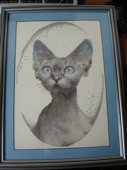 Работа «Котик.»