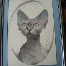 Работа «Котик.»