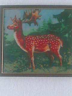 Работа «Олень»