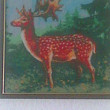 Работа «Олень»