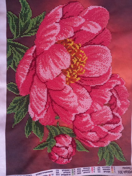 Работа «Піони»