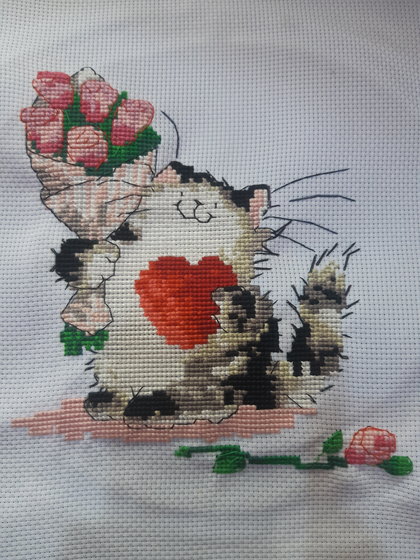 Работа «Котик»