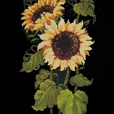 Работа «Подсолнух»