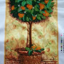 Работа «Апельсинове дерево»