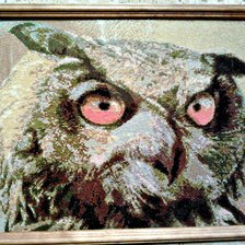 Работа «Сова(или филин))»