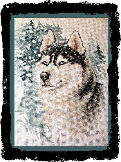 Работа «Любимчик Хаски("Верный друг")»