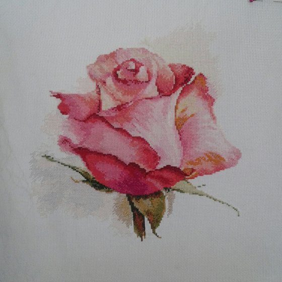 Работа «Роза от Алисы (Дыхание розы. Очарование)»