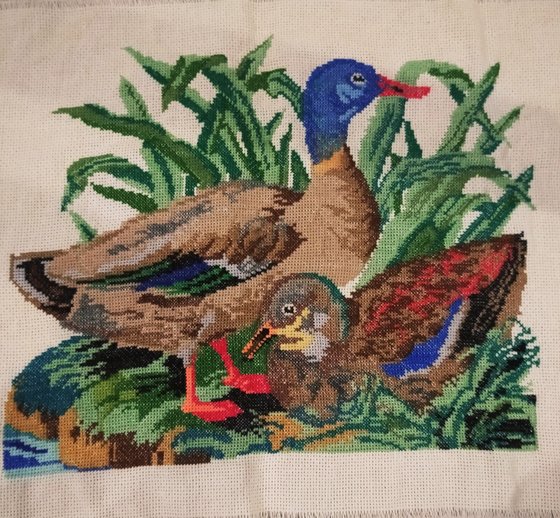 Работа «Уточки»