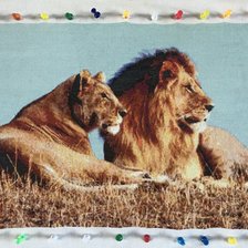 Работа «№86524»