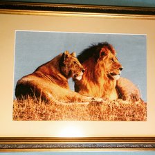 Работа «№86525»